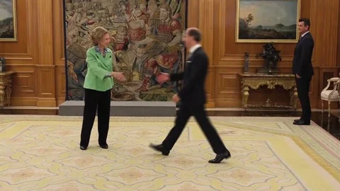 Queen Sofía receives representatives from Camilo José Cela University in audienc Stock Footage 310128853