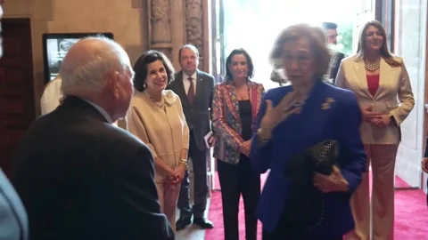Queen Sofia of Spain launches anniversary initiative in US, Miami, US - 21 Mar 2 Stock Footage 331182377