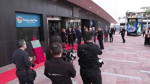 Queen Sofia of Spain receives Gorilla Award for environmental conservation, Las  Stock Footage 329292827