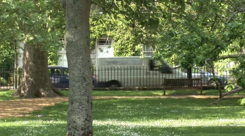 Queen Square Park CU Stock Footage 666543