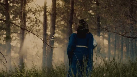Queen wandering in woods. Stock Footage 92216208