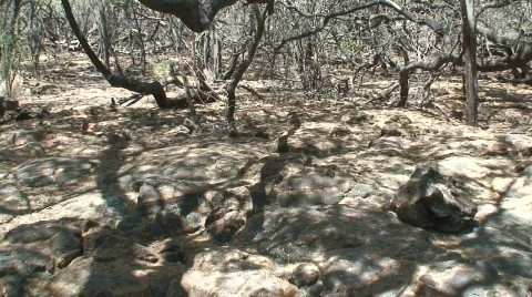 Queen's Bath 1 Stock Footage 651763