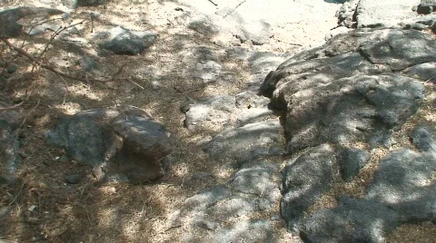 Queen's Bath 2 Stock Footage 651866