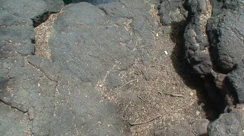 Queen's Bath 3 Stock Footage 651937