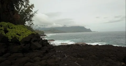 Queens Bath Kauai Video stock 91310356