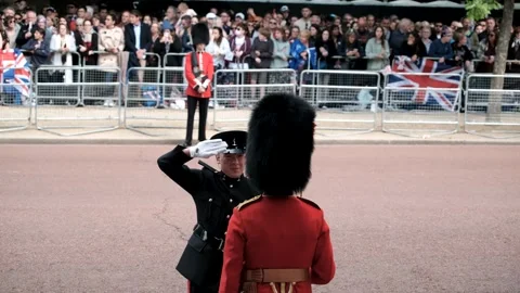 The Queen's Birthday Parade, Coldstream Guards on The Mall Stock Footage 196827172