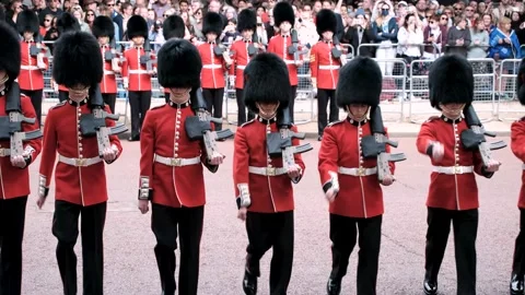 The Queen's Birthday Parade, Coldstream Guards on The Mall Stock Footage 196827176