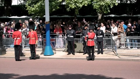 The Queen's Birthday Parade, Coldstream Guards Standing Guard on The Mall Stock Footage 196827177