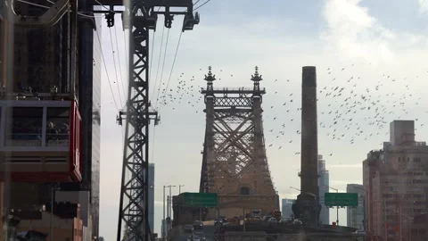 Queensboro Bridge - Manhattan Stock Footage 297377876