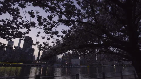 Queensboro Bridge  in the spring dolly shot Stock Footage 62824490
