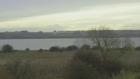 Queensferry Crossing 19 - landscape medium, shot bird arrives Stock Footage 83118797