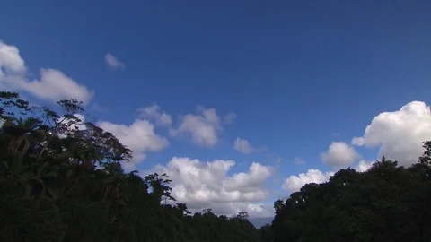 Queensland Daintree Timelapse Stock Footage 70355219