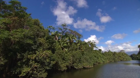 Queensland Daintree Timelapse Stock Footage 70356442