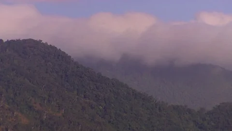 Queensland Daintree Timelapse Stock Footage 70357839