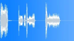 Quenacho flutes signalsSound Effect