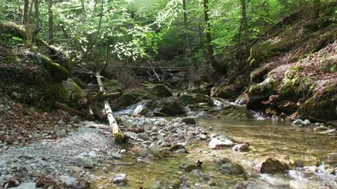 Quer Fluss 1 Video stock 323471400