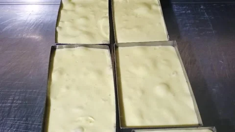 Quesillos Yaguareño in rectangular molds Stock Footage 305492984
