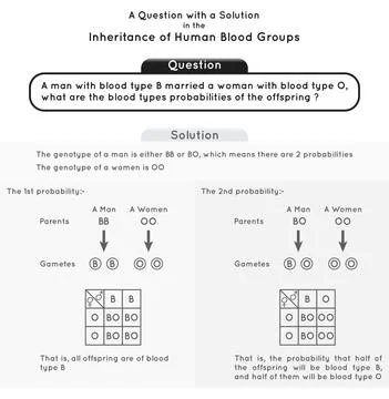 Question and Solution Inheritance of Human Blood Group Infographic Diagram Stock Illustration