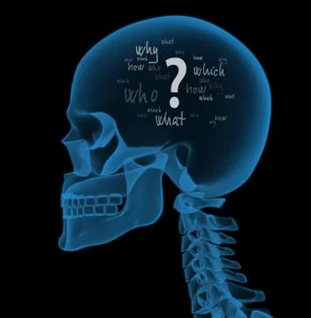 Question Stock Illustration