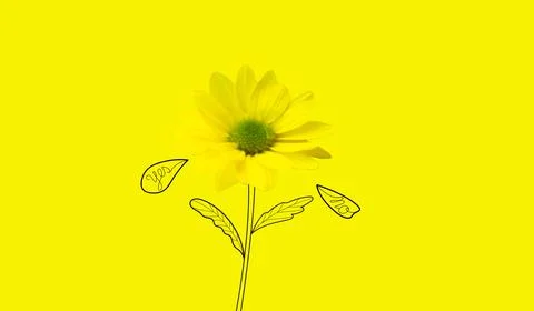 Question Marguerite Stock Illustration