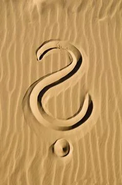 Question mark drawn in sandy beach Stock Photos