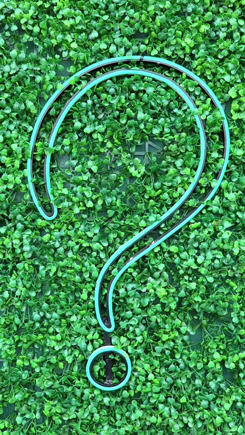 Question mark (?) with grass background, eco text effect. Ecological question. Stock Footage 314911814