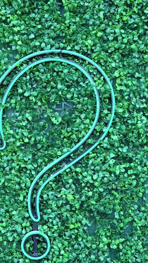 Question mark (?) with grass background, eco text effect. Ecological question. Stock Footage 317557586
