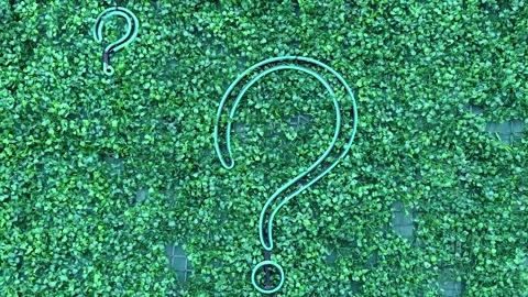 Question mark (?) with grass background, eco text effect. Ecological question. Stock Footage 317688551