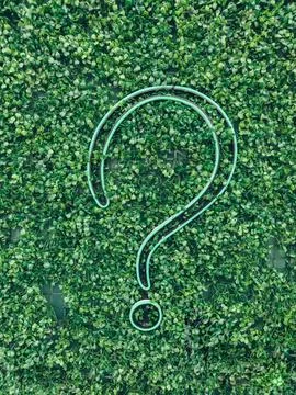 Question mark (?) with grass background, eco text effect. Ecological question. Stock Photos