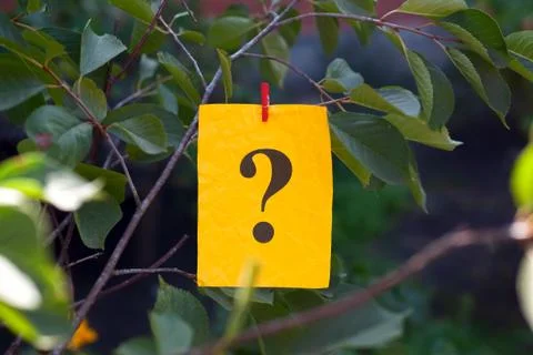 Question mark hanging on a tree Stock Photos