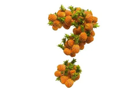 Question mark from pineapples. 3D rendering Stock Illustration