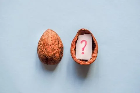 The question mark in the shell of a nut on a blue background. 库存照片