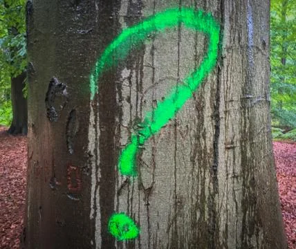 Question mark on a tree trunk in the forest close up Stock Photos