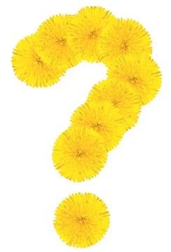 Question sing made from dandelion flower Stock Photos