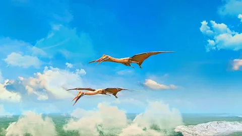 Quetzalcoatlus in flight Stock Footage 309050457