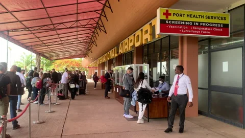 A queue of arriving passengers and documents waiting to be checked Video stock 191823094