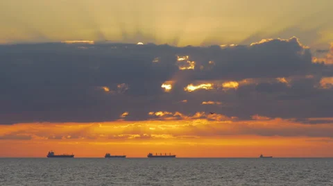 Queue of bulk carriers on horizon during vivid summer sunset Video stock 57319999