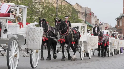 Queue of harse carts on Rynek Square,Krakow,Poland Stock Footage 208869125