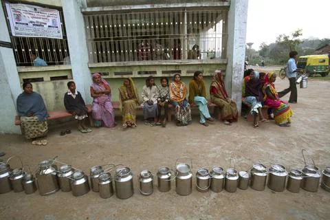 Queue of milk cans to deposit milk at collection centre of Gujarat Co-oper... Stock Photos