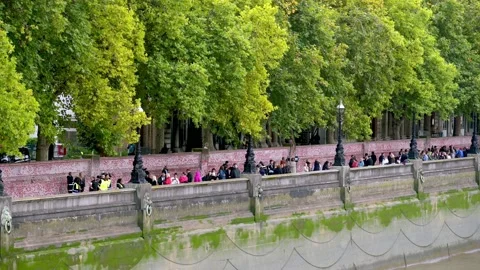 The Queue next to The Covid memorial wall Stock Footage 215925941