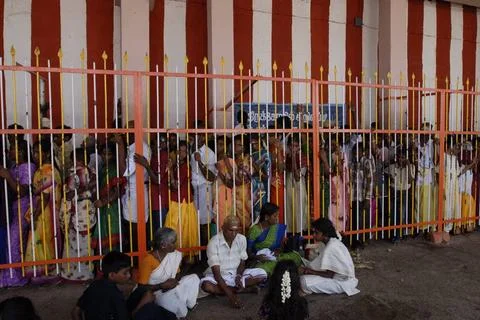 A queue of people waiting for darshan, Palani, Tamil Nadu, India Copyright... Stock Photos