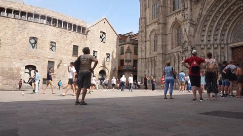 A queue of tourist in front of Barcelona cathedral Stock Footage 96314712