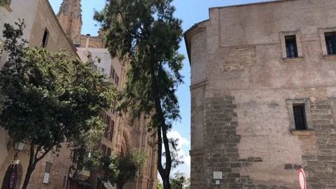 Queue of Tourists Beside Old Stone Palace Wall, Palma Cathedral, Spain 4K 60fps Stock-Footage 165258781