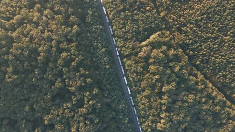 The queue of trucks standing on the road. Top view of the trucks. Stock Footage 141605725