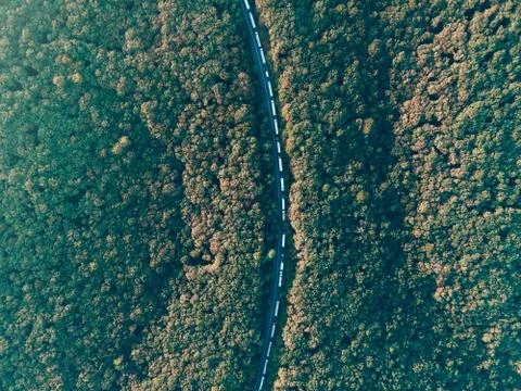 The queue of trucks standing on the road. Top view of the trucks. Stock Photos