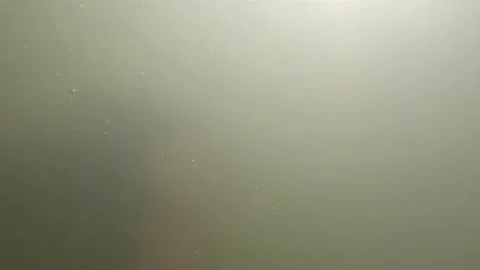 Quick alloy swimmer on the mountain river. Training swimmer. Stock Footage 93087778