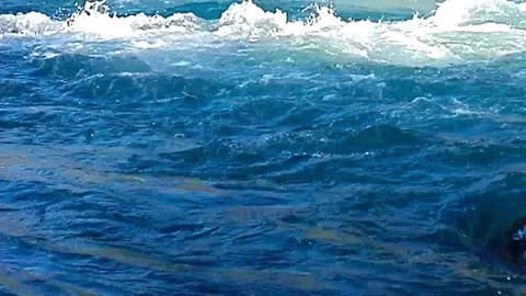 Quick and cool river Ugam in mountain Tashkent Stock Footage 79036255