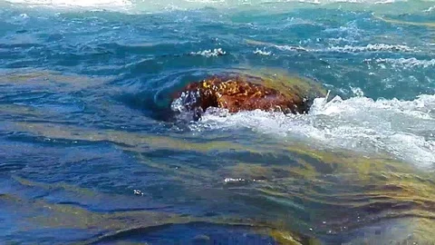 Quick and cool river Ugam in mountain Tashkent Stock Footage 79036274