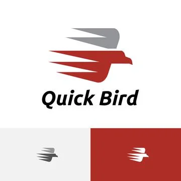 Quick Bird Fast Rapid Eagle Flying Wings Logo Stock Illustration
