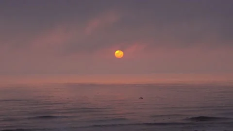 Quick camera of a beautiful sunset with the round yellow sun on the horizon Stock Footage 194500261